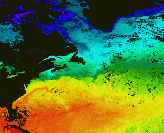 Satellite measurements of sea surface temperature in North Atlantic from September, 2001.