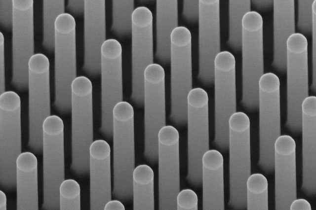 Electron micrograph of indium phosphide (InP) nanowires. Each is 180 nanometers in diameter; this diameter allows them to capture more light, making them effective in a photovoltaic solar cell.
