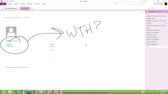 Some day, I'll actually figure out something useful to do with OneNote 2013.