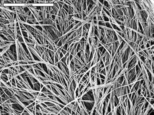 Aluminum-Nitrogen nanowires, relatives of the ones used in these experiments.