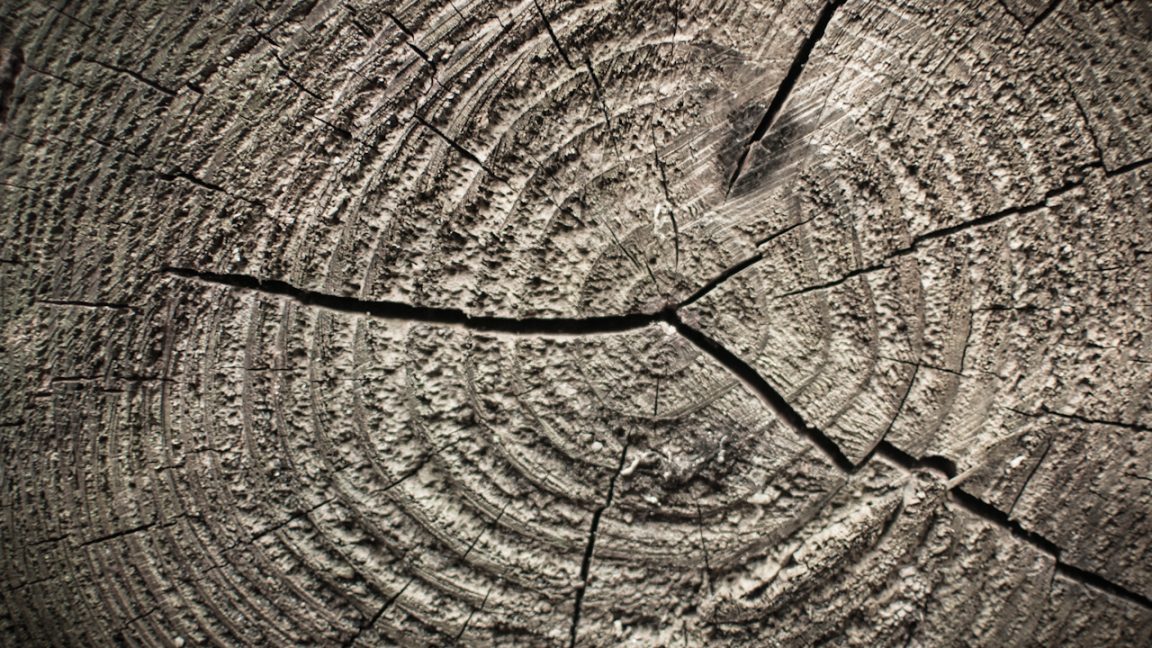 Tree ring history spurs actual climate science debate - Ars Technica