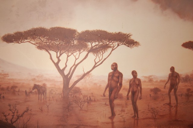 A painting in the Olduvai Gorge Museum, Ngorongoro Conservation Area, Tanzania.