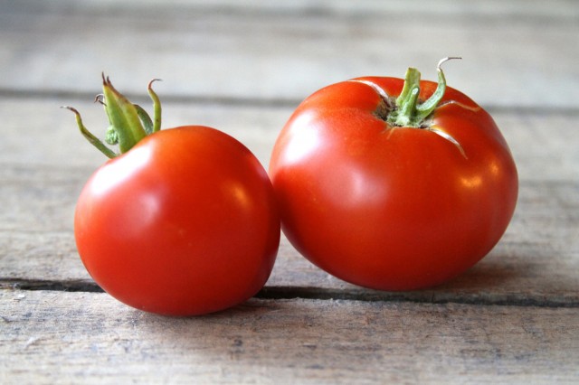 How to create near-infinite clones of your favorite tomato (or any) plant