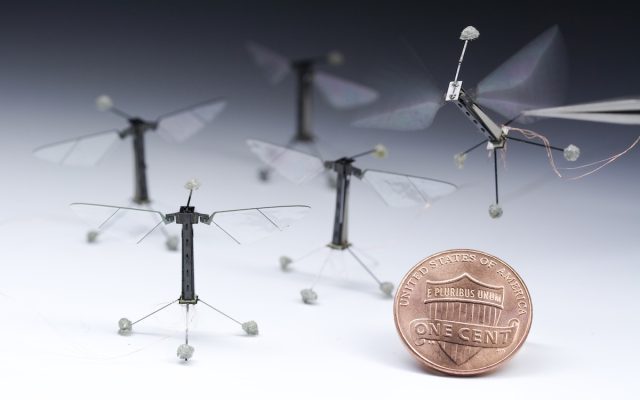 Researchers build miniature flying robots, modeled on Drosophila