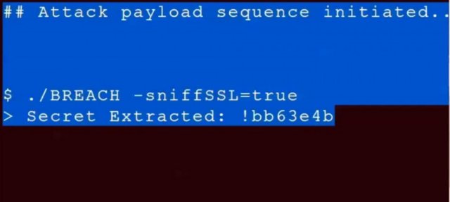 A frame from a video demonstration showing BREACH in the process of extracting a 32-character security token in an HTTPS-encrypted Web page.