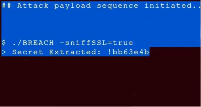 A frame from a video demonstration showing BREACH in the process of extracting a 32-character security token in an HTTPS-encrypted Web page.