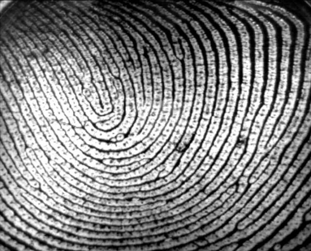 Fingerprints as passwords: New iPhone Touch ID gets mixed security verdict (Updated)