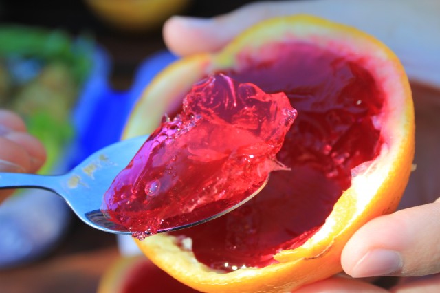 Jello-making protein could help make cheap fuel cells