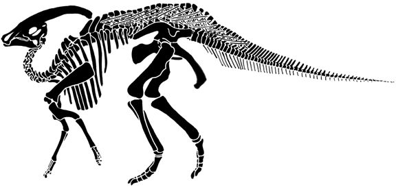 High schooler discovers fossil of juvenile dinosaur