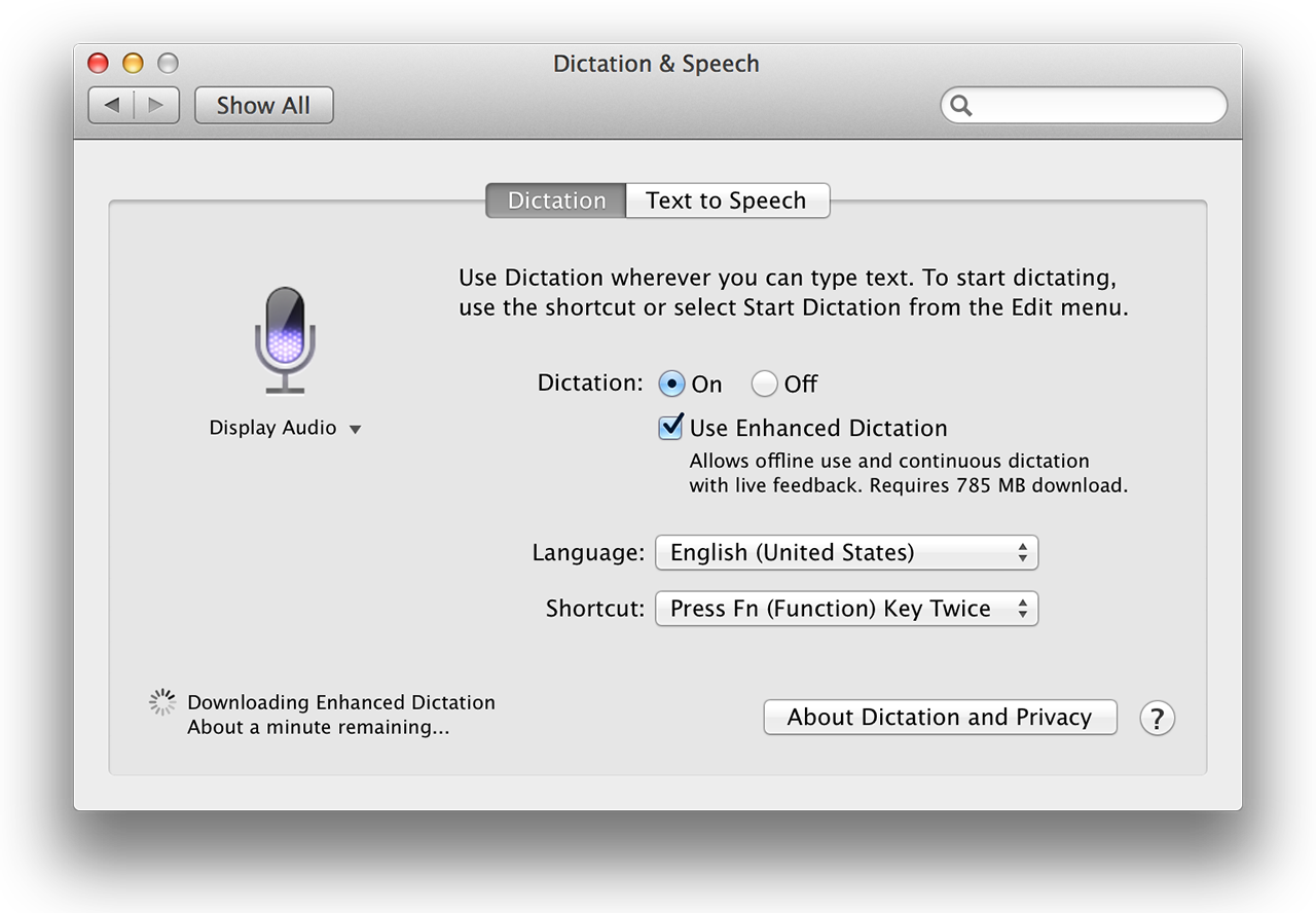 Enhanced dictation: surely one of the more heavyweight checkboxes in Apple’s history.