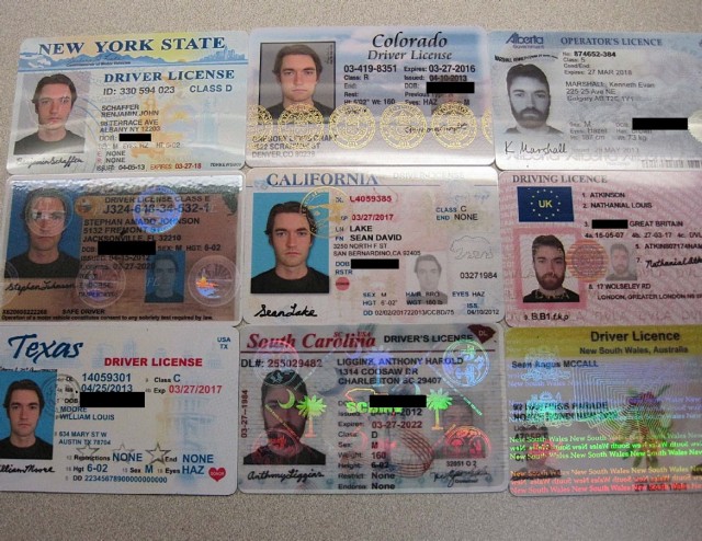 The US government claims these are Ross Ulbricht's fraudulent identification cards.