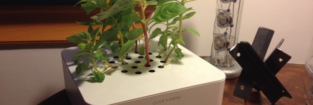 Robot Garden 1.0: Putting Click and Grow to the test