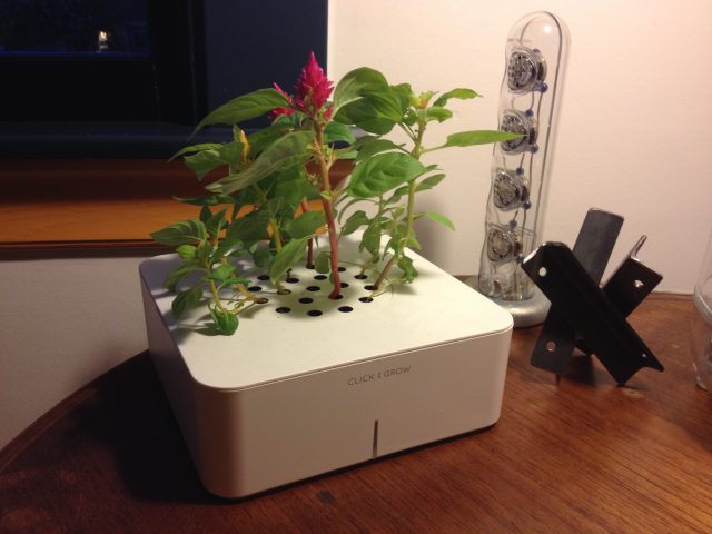 Robot Garden 1.0 Putting Click and Grow to the test Ars Technica