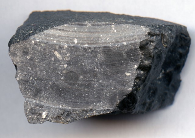 The meteorite NWA 7533, cut to reveal the interior structure. The light and dark spots are harder rocks (clasts) embedded in a body fused from small grains at high tempertures.