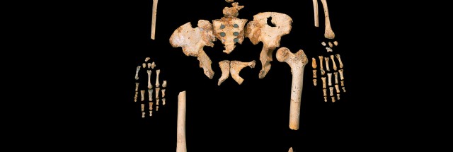 Oldest Human DNA Sequence Yet Confuses Our Picture Of Pre Modern Humans   4 Homo Heidelbergensis 640x215 