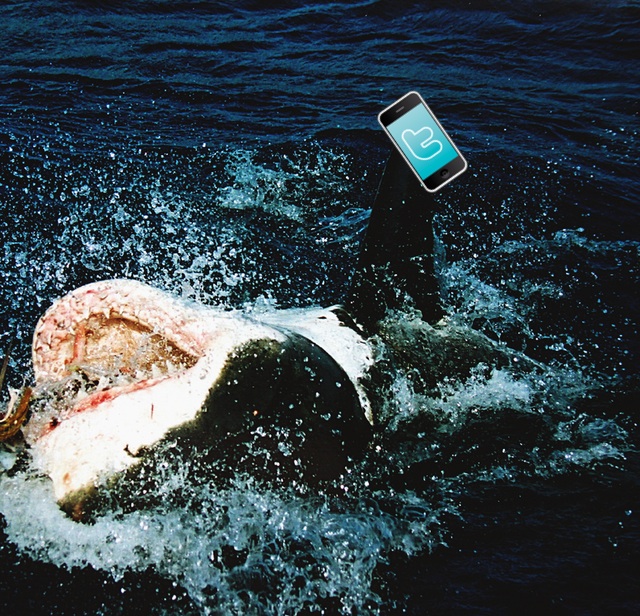 Artist's conception of a shark tweeting.