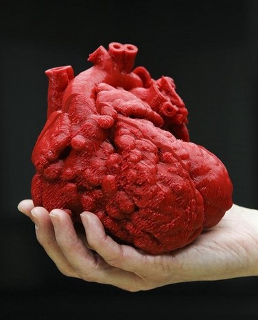 A 3D model of the heart of Roland Lian Cung Bawi, 14 mos. Engineers at UofL's Speed School created the model in three sections to help doctors at Kosair repair the heart. 