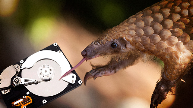 If you're not an expert on armored anteaters that's a pangolin.