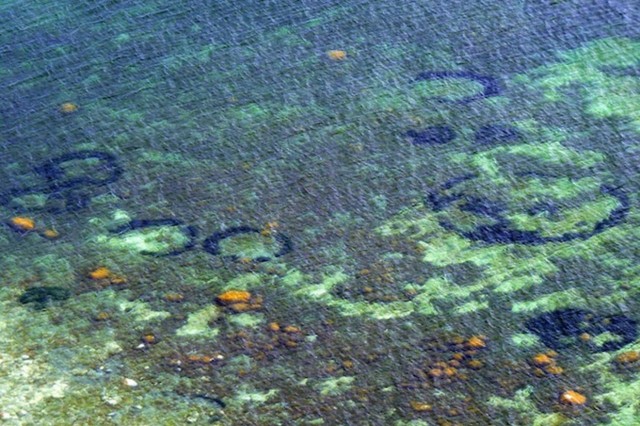 Mysterious undersea “crop circles” finally explained