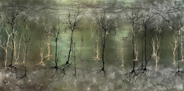 "Cortex in Metallic Pastels," the winner in the illustration category, depicts stylized dendrites and axons in the cerebral cortex.
