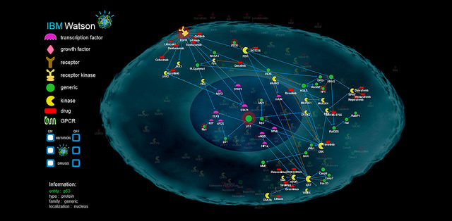 A cancer mutation is shown on a cell protein pathway from genome sequencing. 