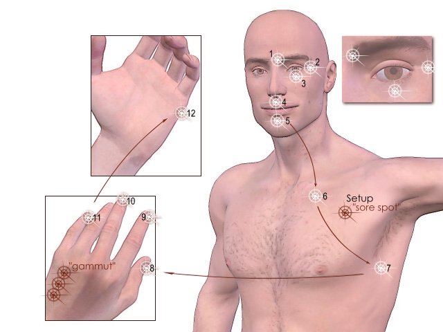 A diagram about <a href="http://en.wikipedia.org/wiki/Emotional_Freedom_Techniques">Emotional Freedom Techniques</a> that is hosted on Wikipedia.