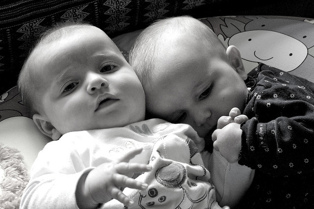 Twins’ immune systems look like those of complete strangers