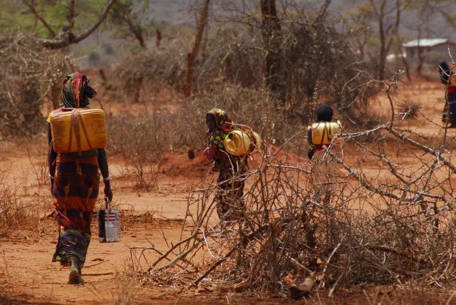 Ethiopians carrying jerrycans of water.