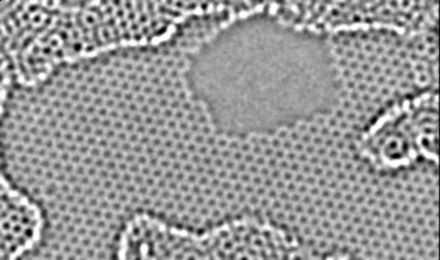 An image of graphene, showing defects in its single-atom thickness.