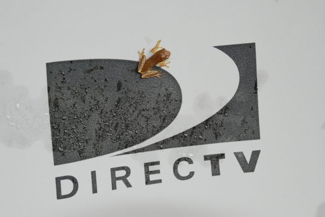 DirecTV will broadcast live 4K content by “early next year”