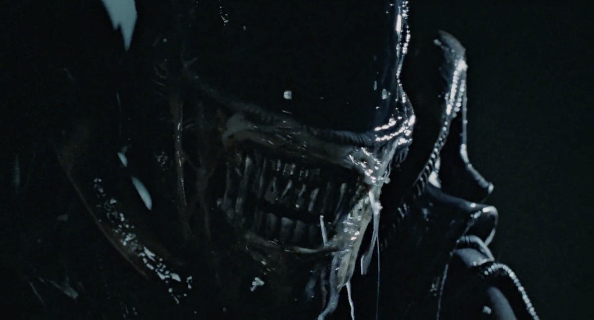 The Throwaway Line In Aliens That Spawned Decades Of Confusion