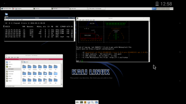 A full Kali Linux desktop running in a VNC viewer on NetHunter. 