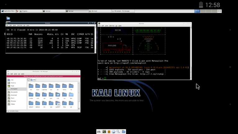 kali vnc client