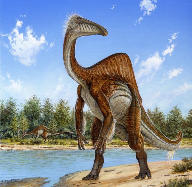 Bizarre dinosaur matched to an enormous set of arm bones