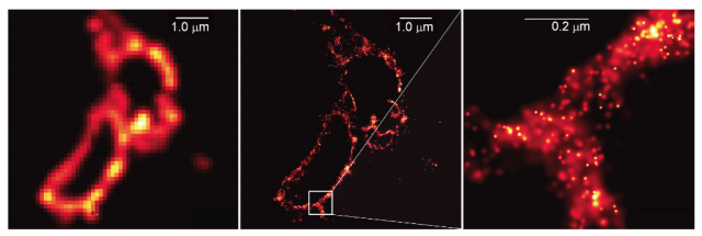 diffraction limit confocal microscopy