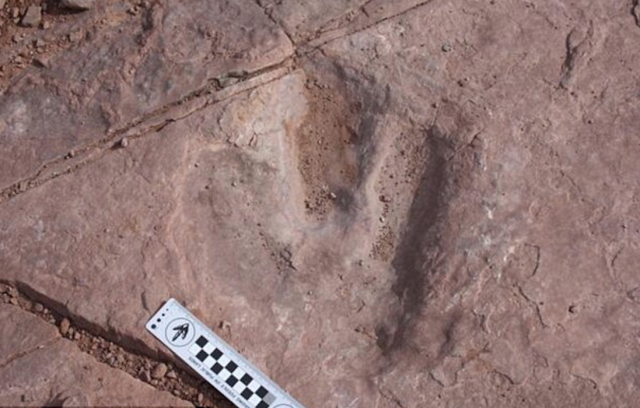 Man who stole 190-million-year-old dinosaur footprint gets house arrest