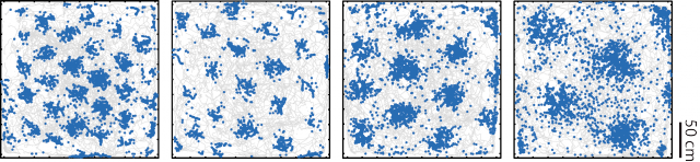 The actual firing patterns of grid cells as a mouse navigates a square enclosure.