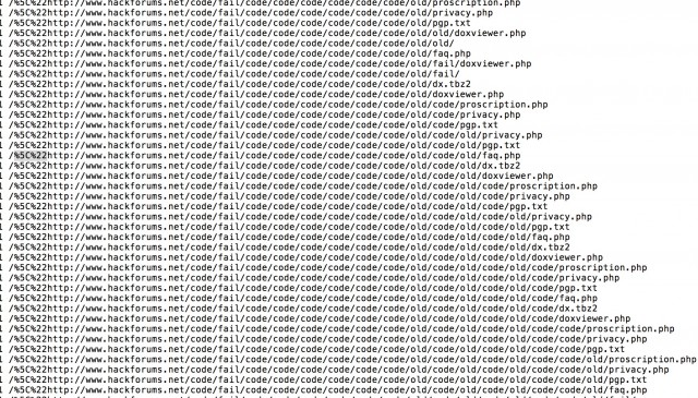 A snippet of the log files of Doxbin showing malformed requests via Tor that may have been used to "decloak" the server.