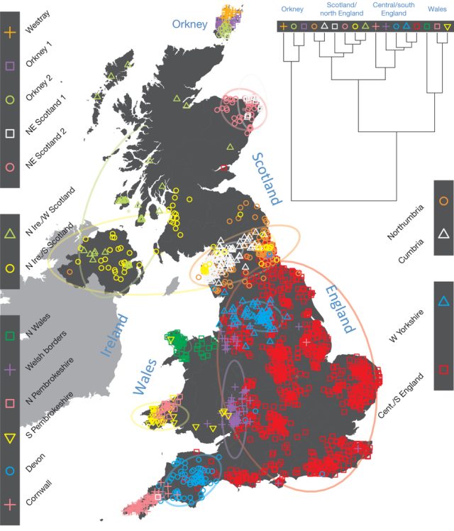 DNA map of UK migration history shows Vikings drew the line at ...