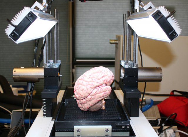 To digitize a brain, first slice 2,000 times with a very sharp blade