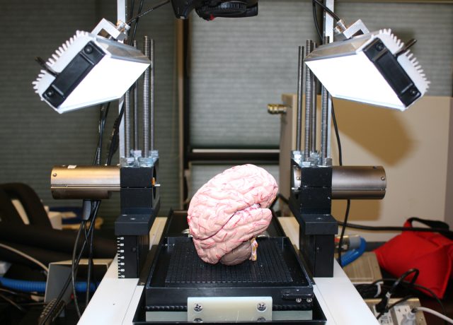 To digitize a brain, first slice 2,000 times with a very sharp blade