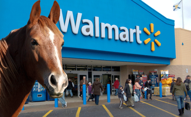Why the long face? Retailer says walmart.horse domain infringes its IP