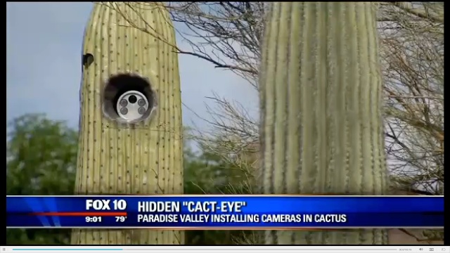 Arizona town mounts dozens of new license plate readers in fake cactuses