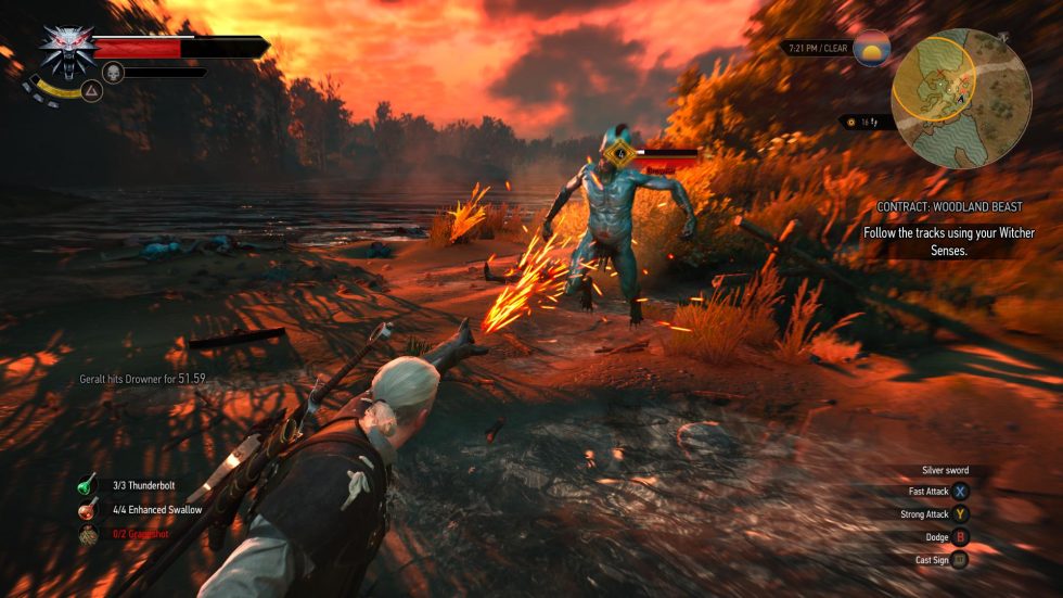 The Witcher 3: Wild Hunt