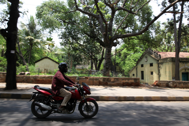 Bangalore may have as many people as New York, but lots of it looks like this—very lush.