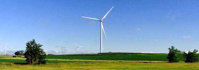 Turbines tower over corn fields in Iowa.