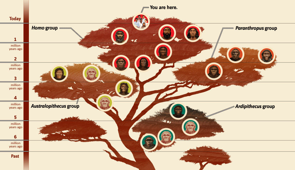 Humans Aren T So Special After All The Fuzzy Evolutionary Boundaries Of Homo Sapiens Ars Technica