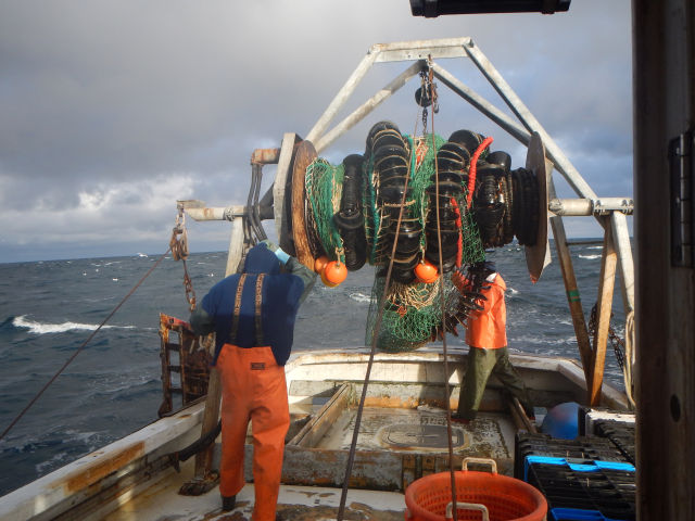 Warming waters hit New England cod fishery hard