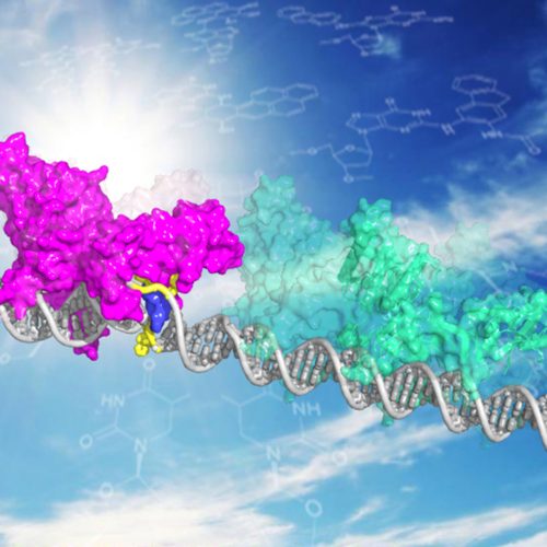 Tag: DNA repair - Ars Technica