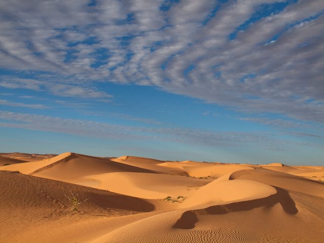 Beneath the Saharan sands, a river valley